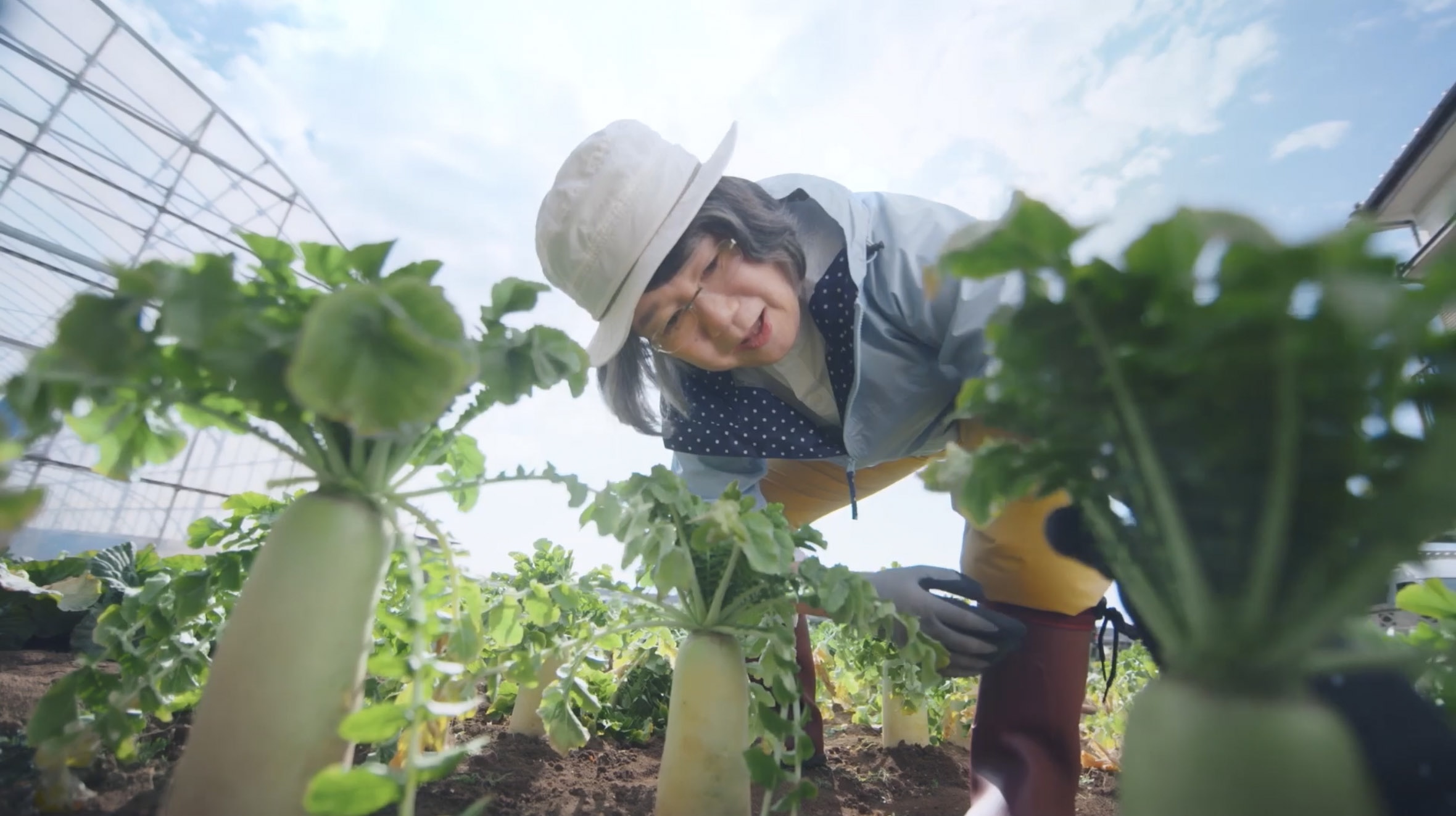 夢中に出会える脚篇