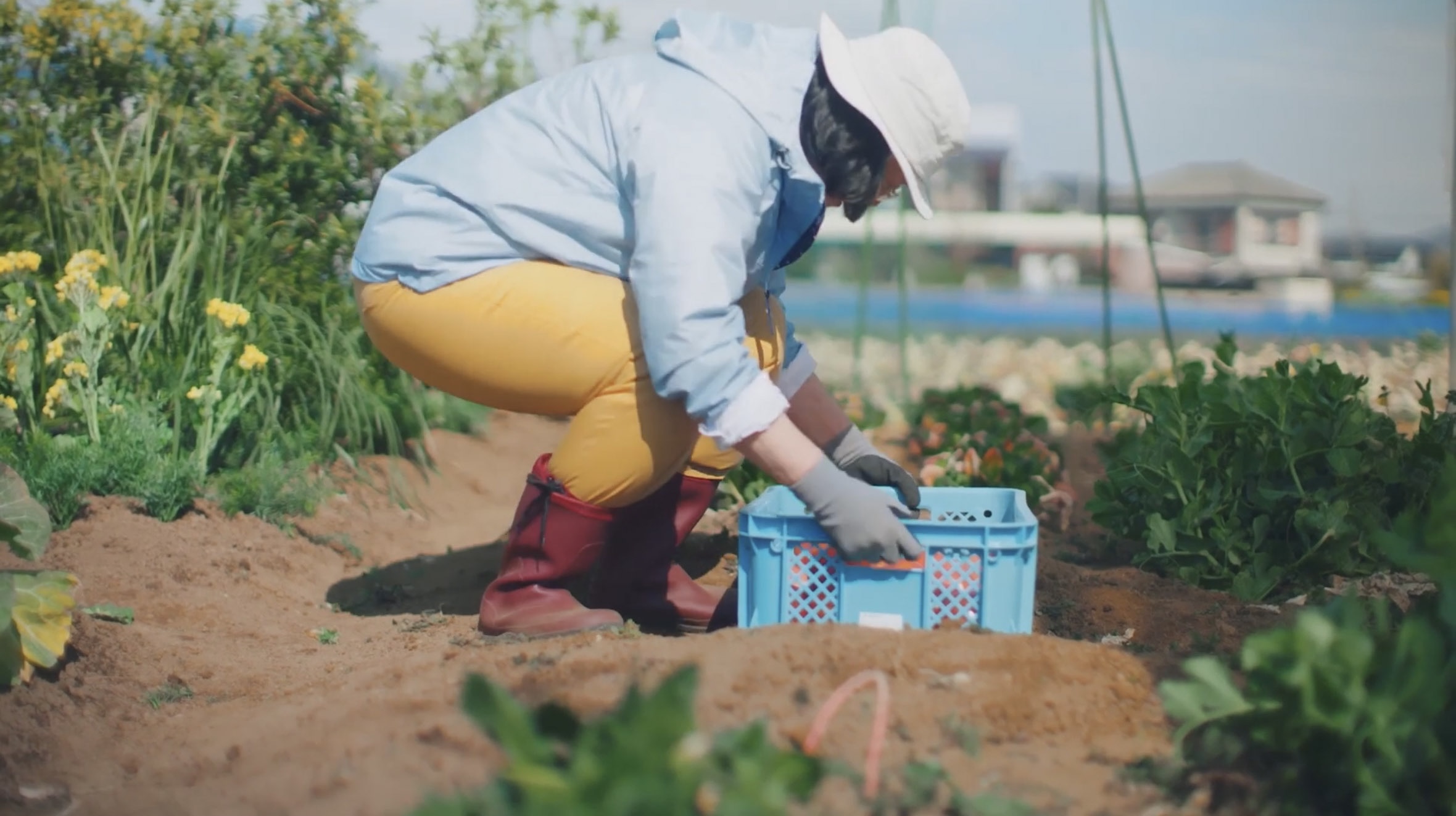夢中に出会える脚篇