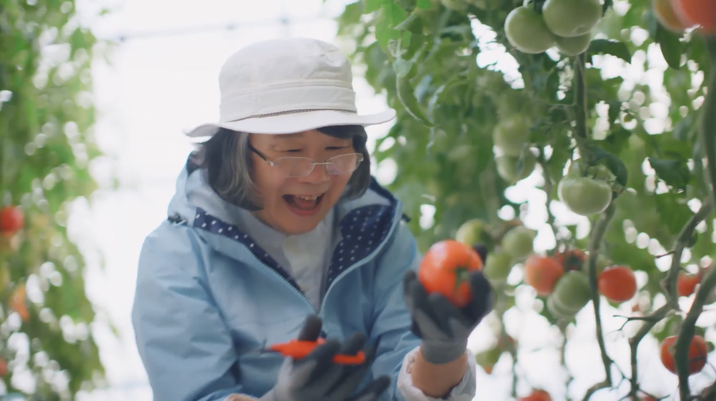 夢中に出会える脚篇