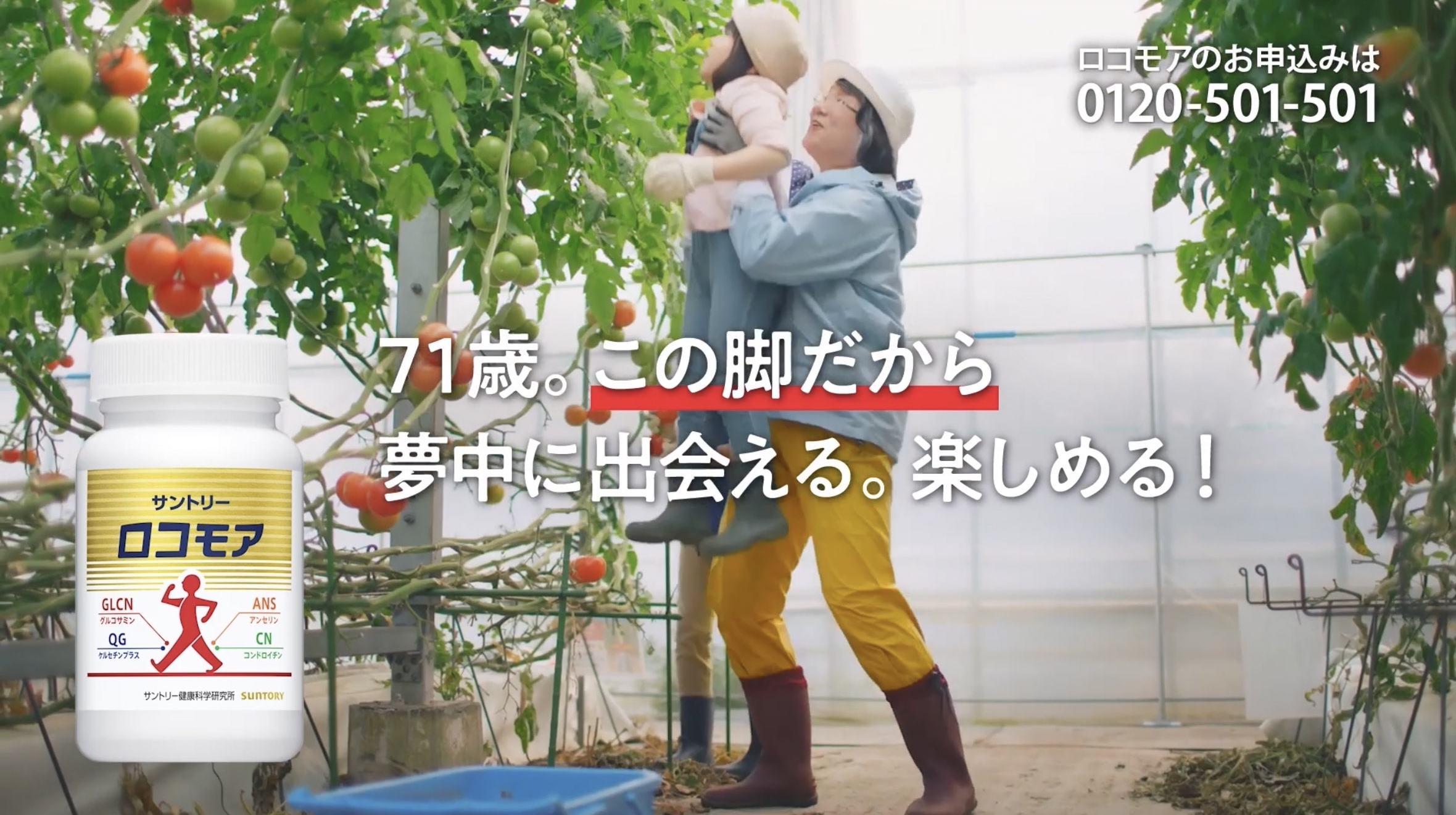 夢中に出会える脚篇