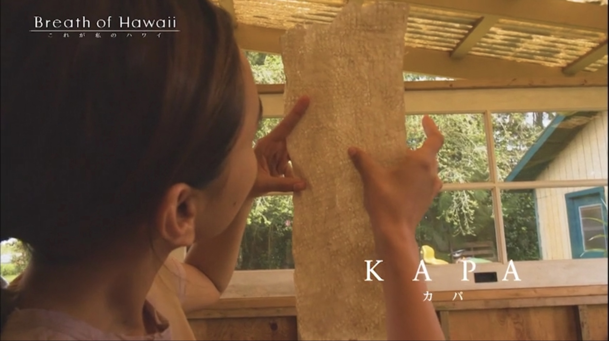 Breath of Hawaii-006