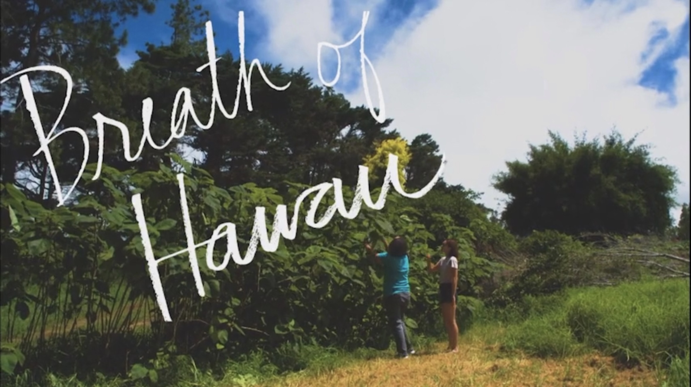 Breath of Hawaii-006