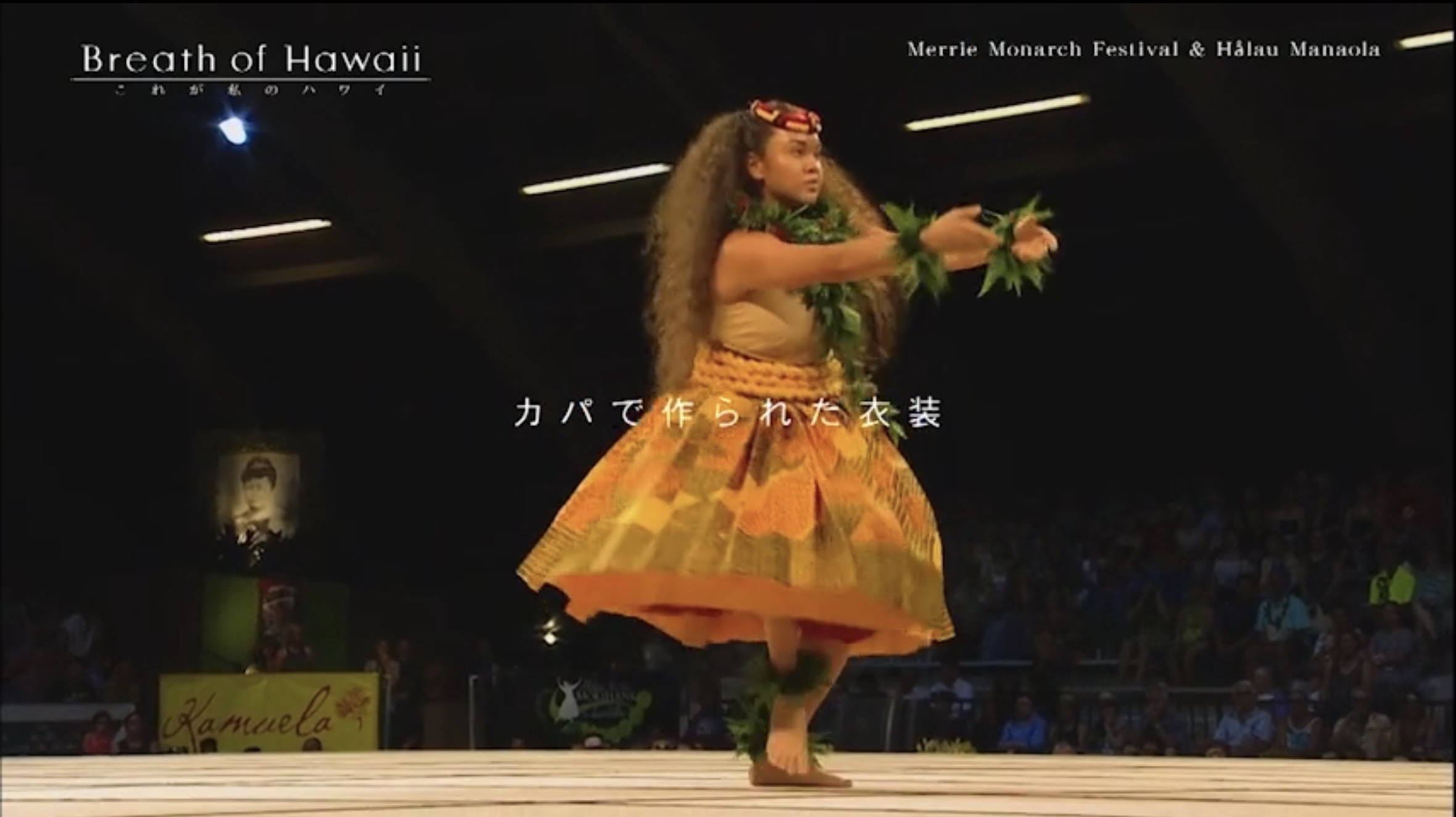 Breath of Hawaii-006