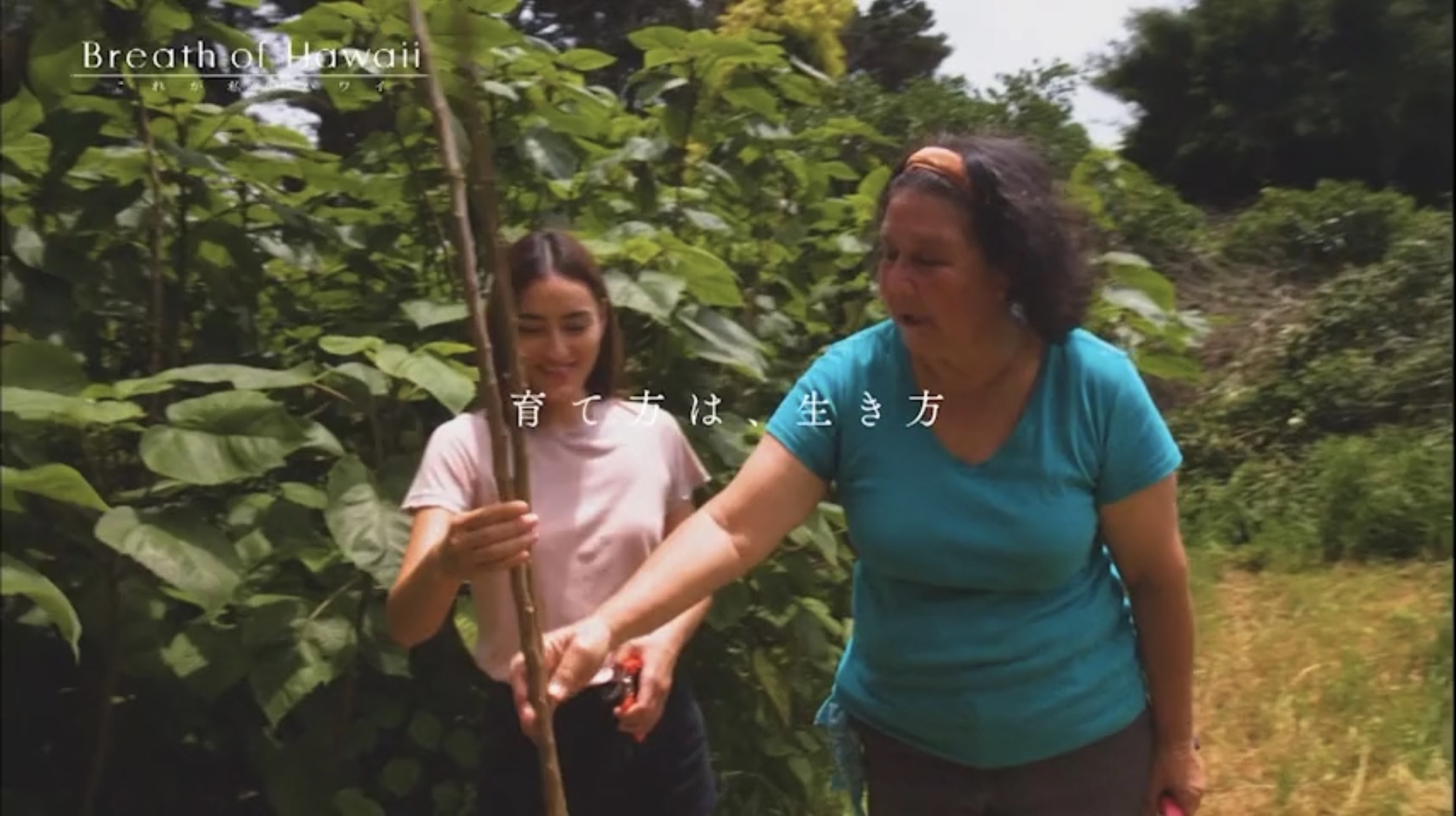 Breath of Hawaii-006