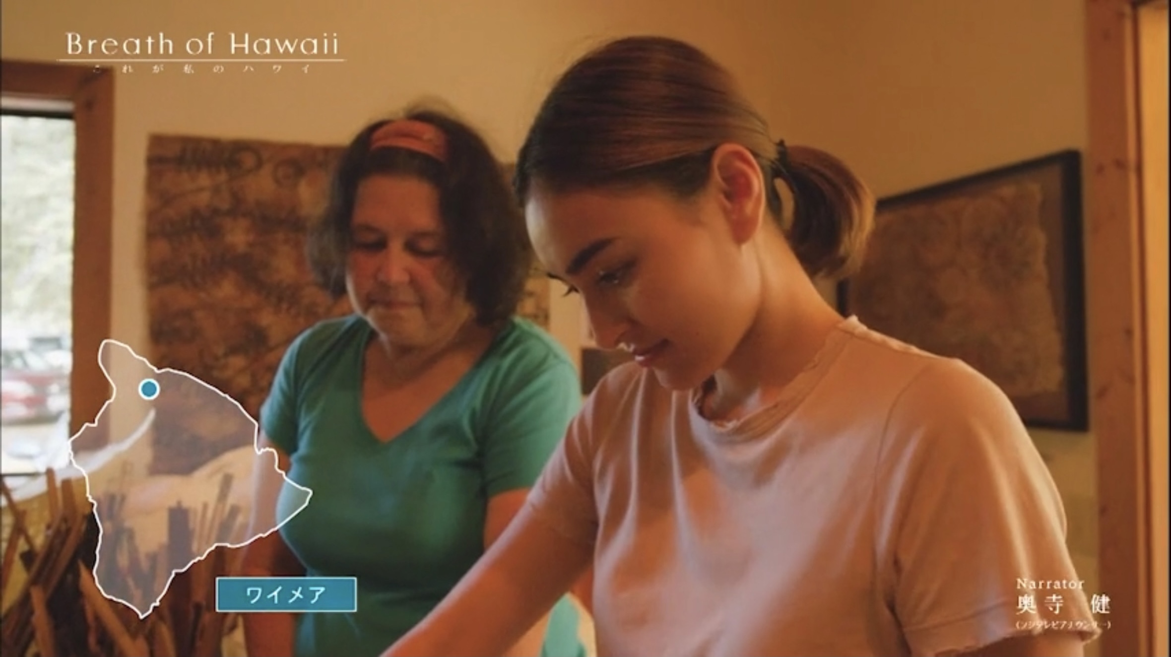 Breath of Hawaii-008