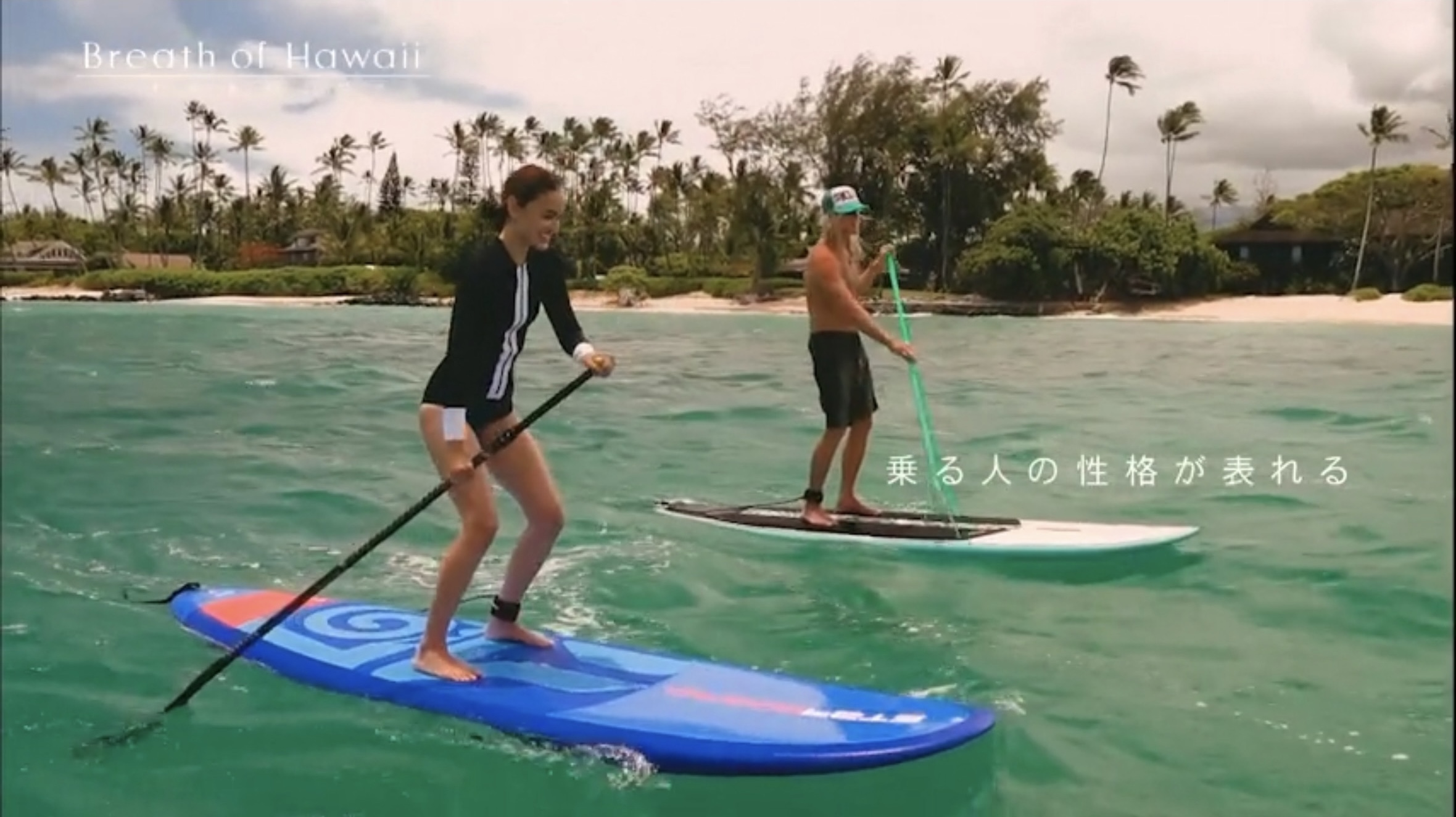 Breath of Hawaii-009