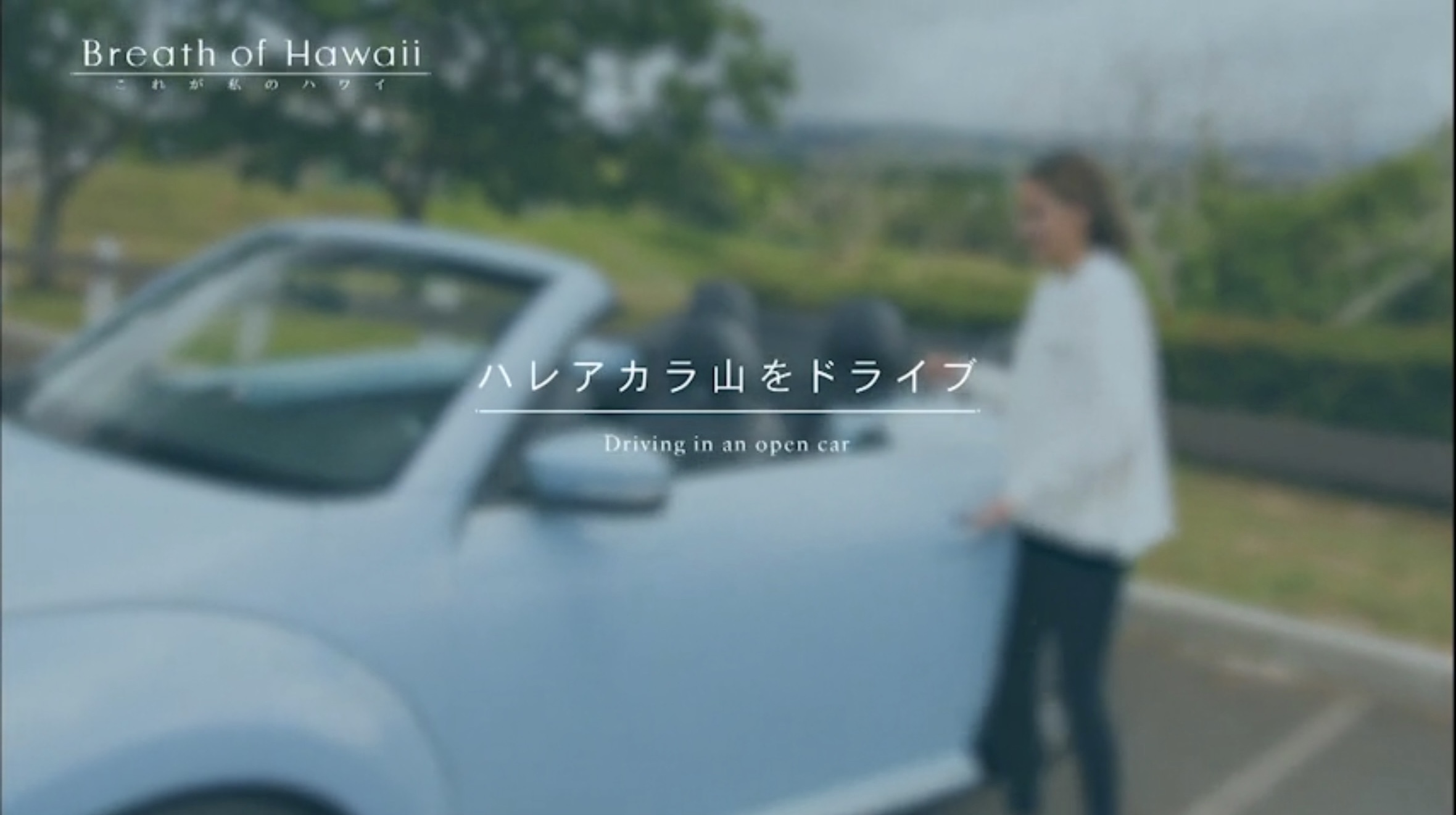 Breath of Hawaii-010