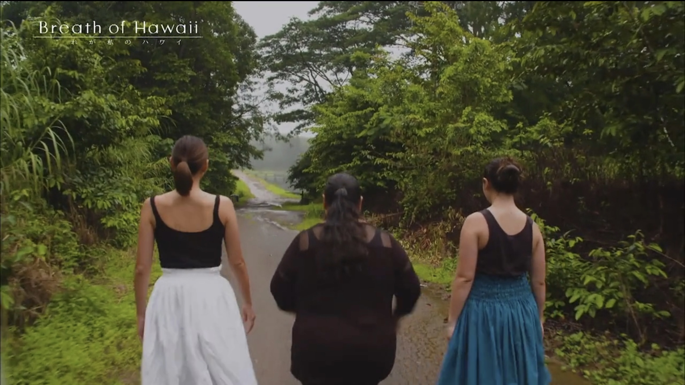 Breath of Hawaii-Final