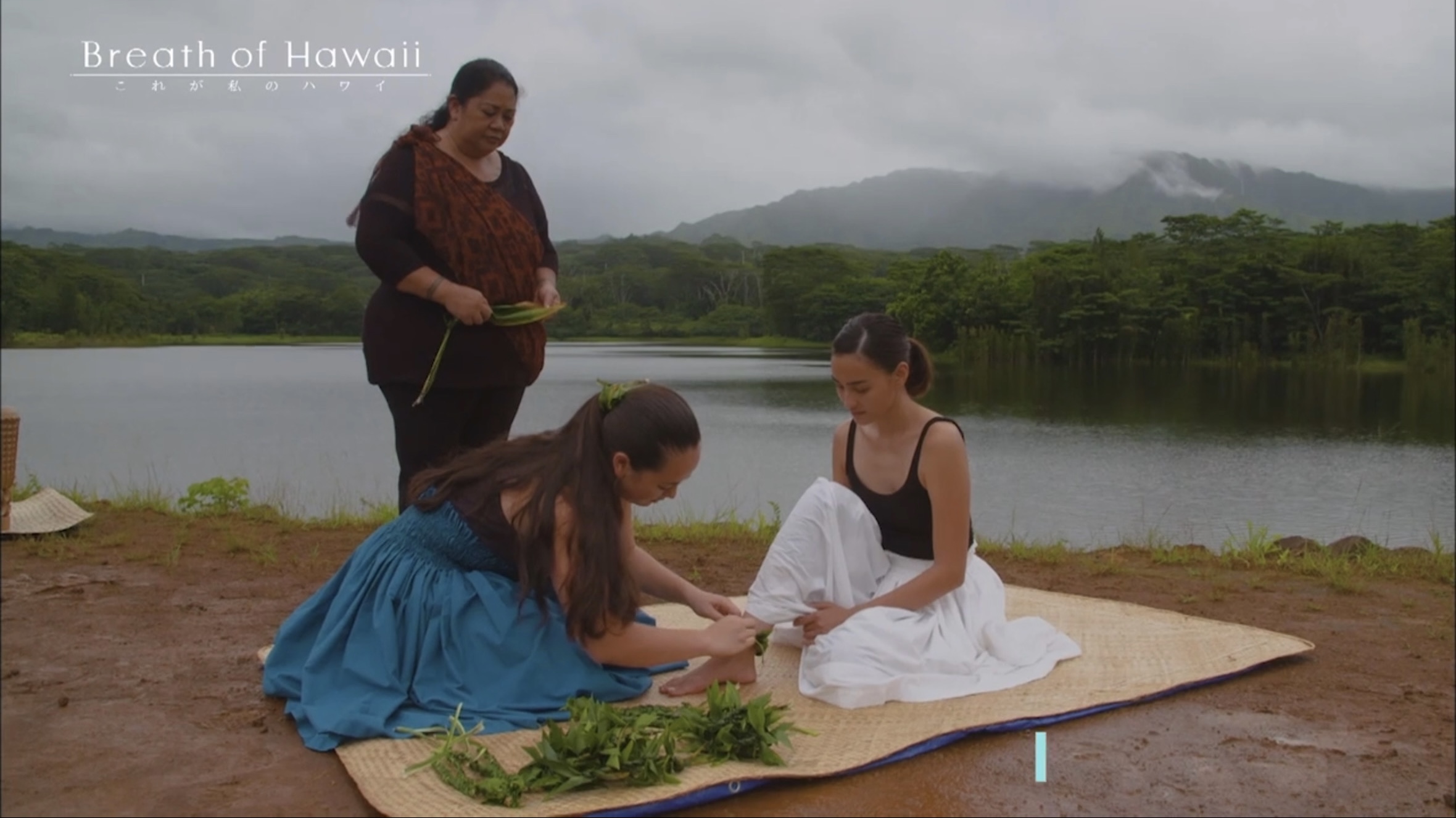 Breath of Hawaii-Final