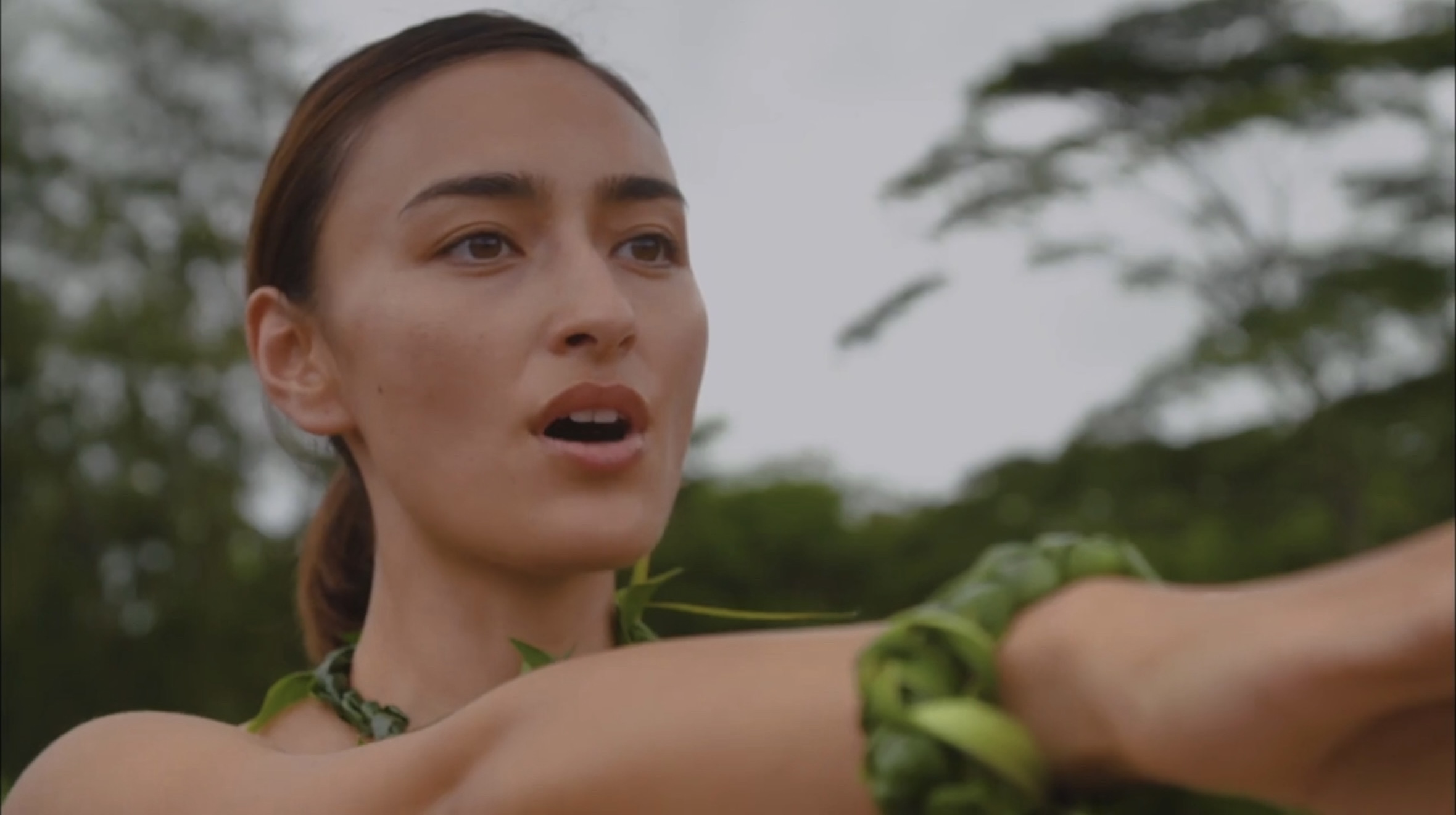 Breath of Hawaii-Final