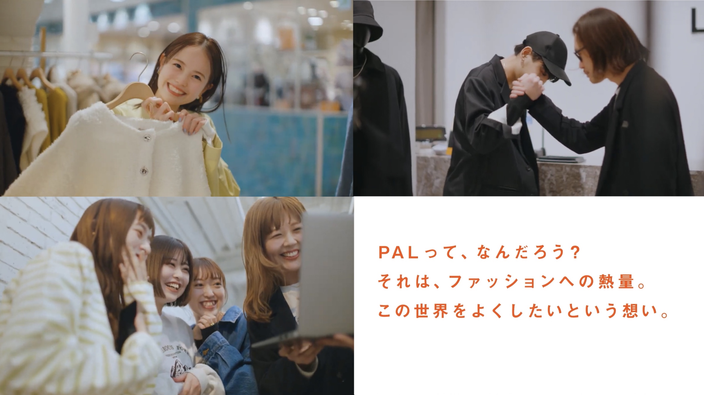 創業50周年~新ロゴ~