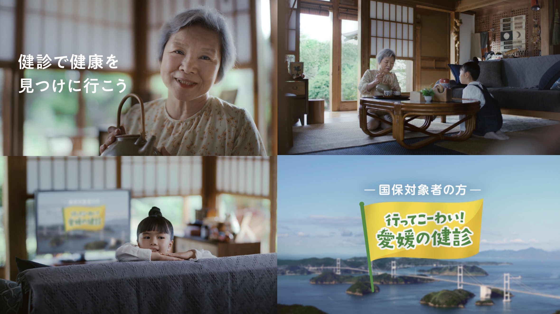 愛媛県総合保険協会CM