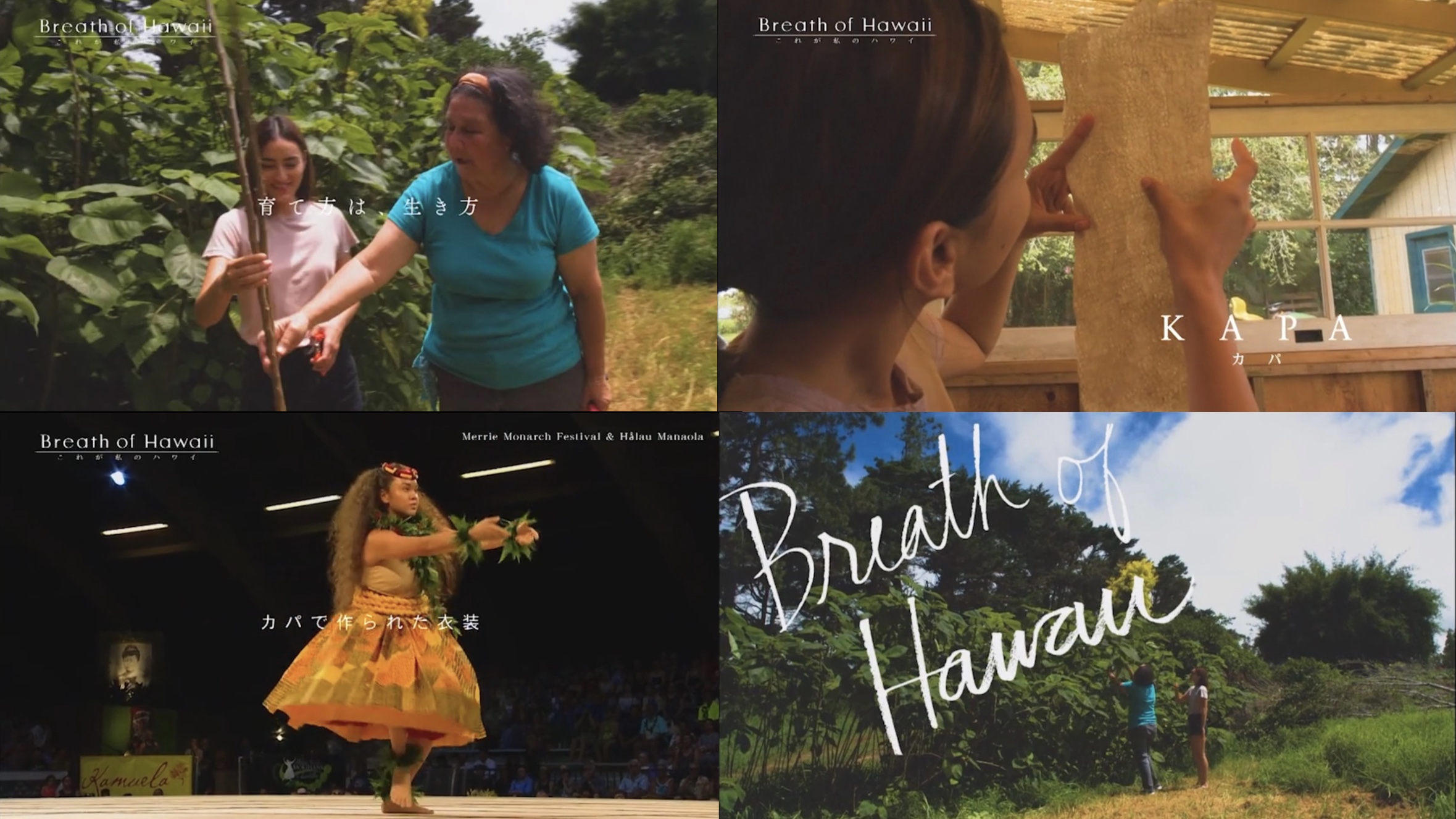 Breath of Hawaii-006