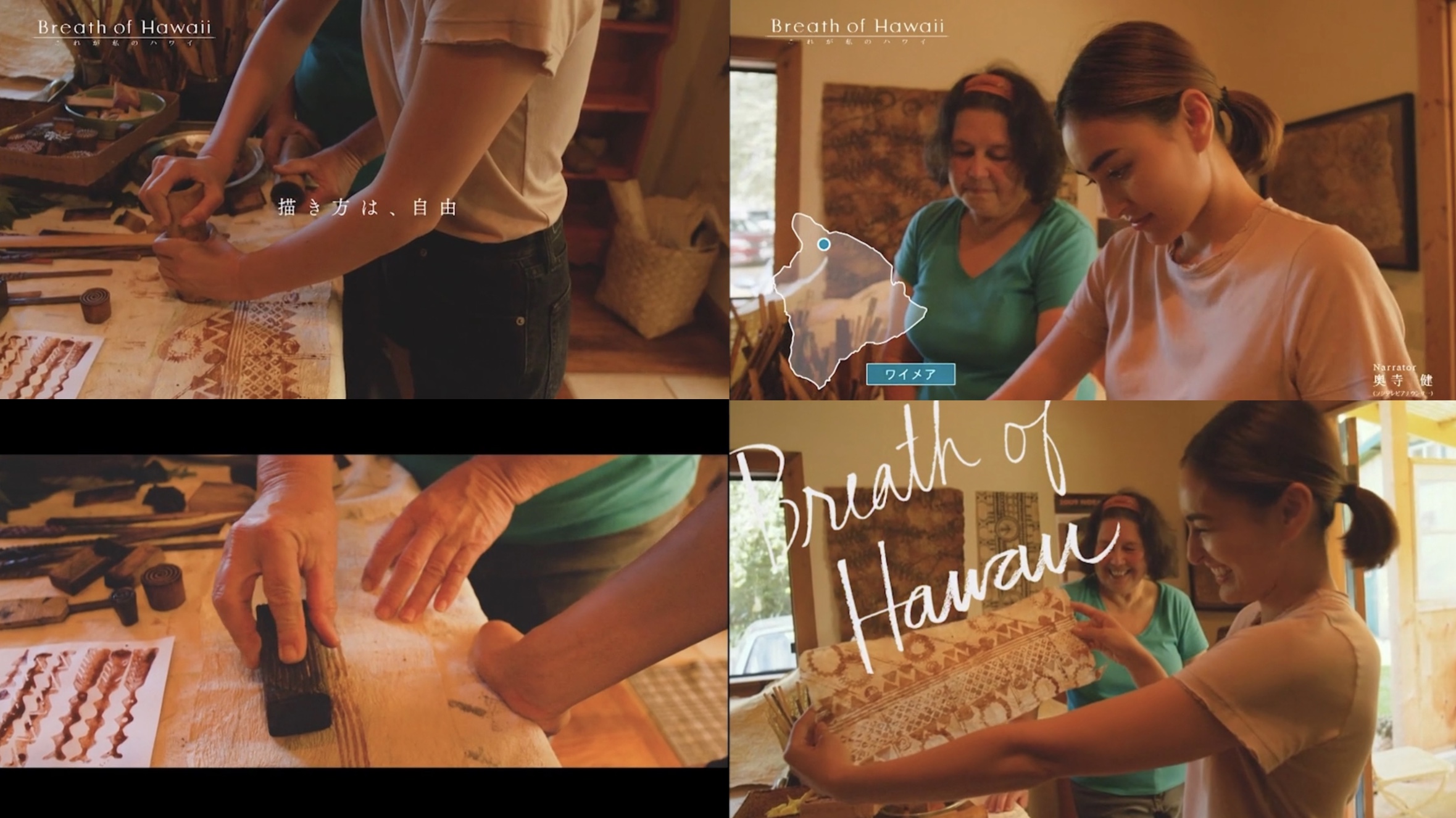 Breath of Hawaii-008