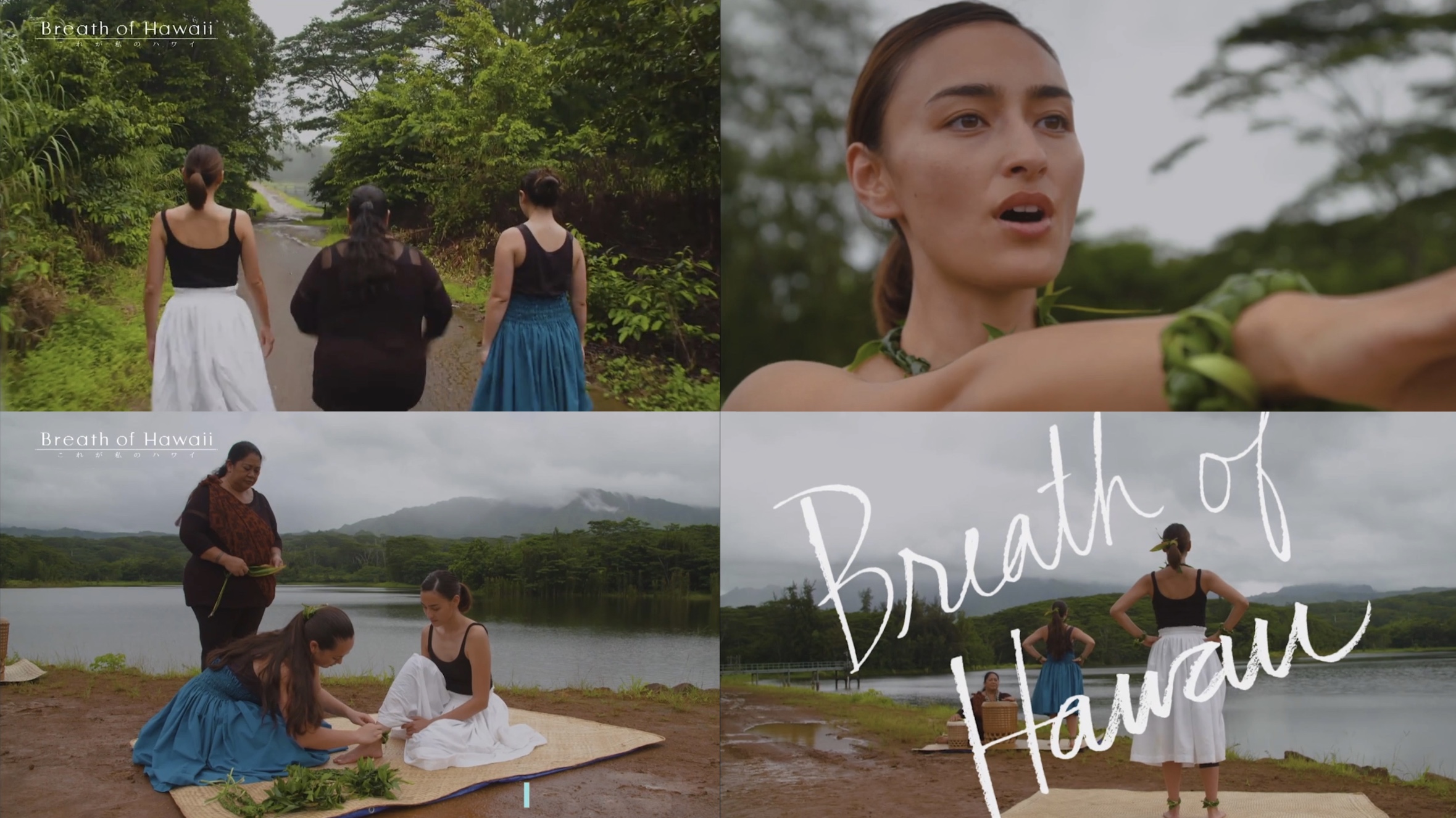 Breath of Hawaii-Final